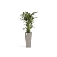 Ecopots Ecopots Rotterdam high 70 Taupe