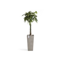 Ecopots Ecopots Rotterdam high 70 Taupe