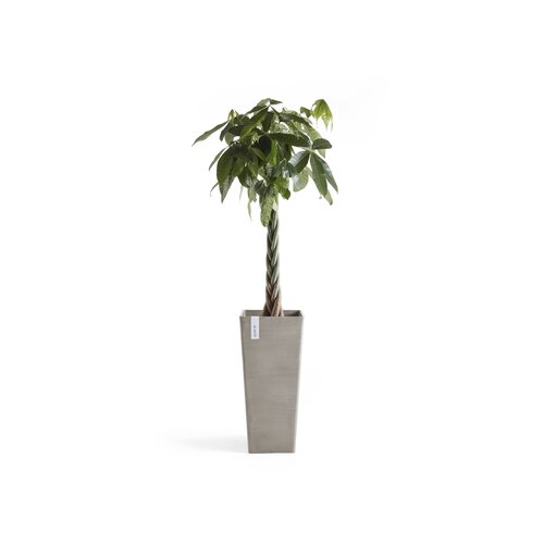 Ecopots Ecopots Rotterdam high 70 Taupe