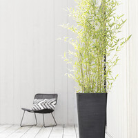 Ecopots Ecopots Rotterdam high 70 Dark grey