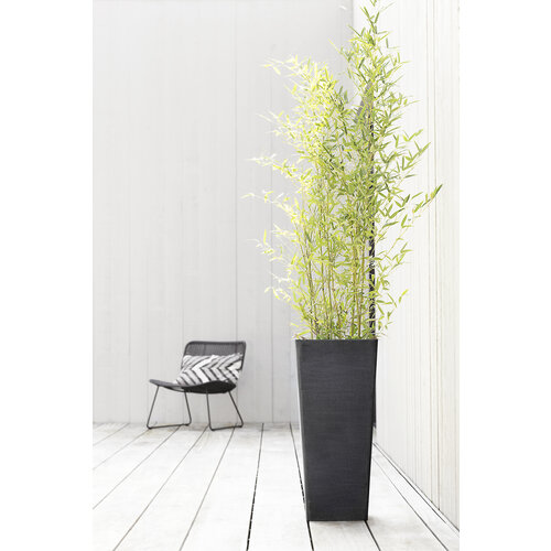 Ecopots Ecopots Rotterdam high 70 Dark grey