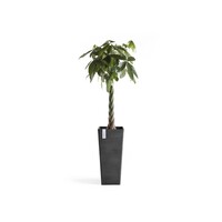 Ecopots Ecopots Rotterdam high 70 Dark grey