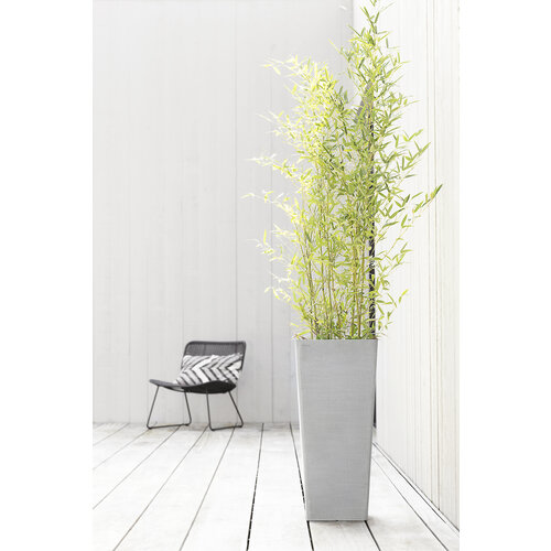 Ecopots Ecopots Rotterdam high 70 white grey