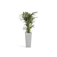 Ecopots Ecopots Rotterdam high 70 white grey