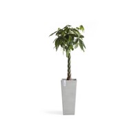 Ecopots Ecopots Rotterdam high 70 white grey