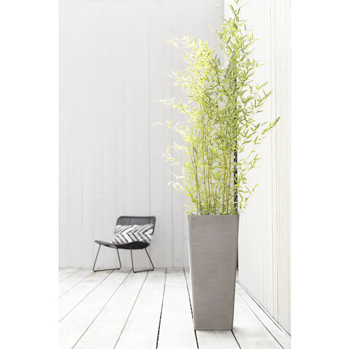 Ecopots Ecopots Rotterdam mid high 56 Taupe