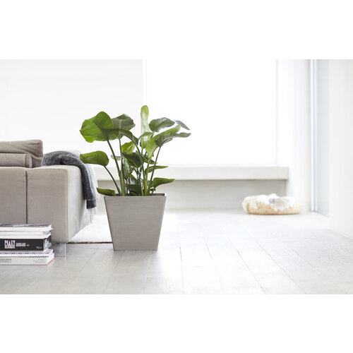 Ecopots Ecopots Rotterdam 50 Taupe