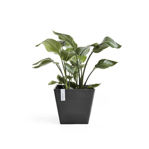 Ecopots Ecopots Rotterdam 50 Dark grey