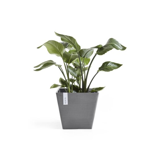 Ecopots Ecopots Rotterdam 50 Grey