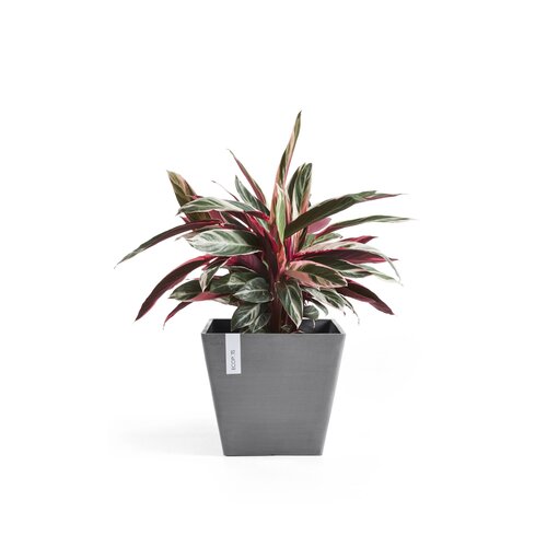 Ecopots Ecopots Rotterdam 50 Grey