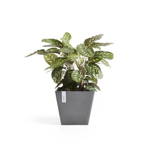 Ecopots Ecopots Rotterdam 50 Grey