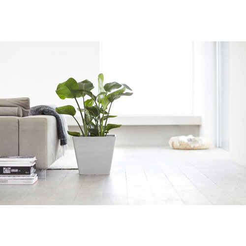 Ecopots Ecopots Rotterdam 50 White grey