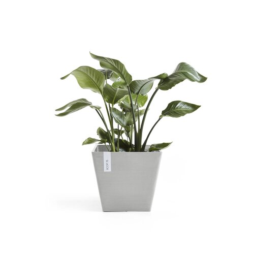 Ecopots Ecopots Rotterdam 50 White grey
