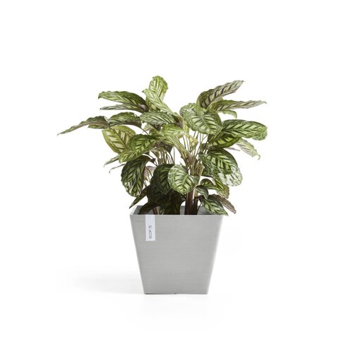 Ecopots Ecopots Rotterdam 50 White grey
