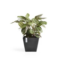 Ecopots Ecopots Rotterdam 40 Dark grey