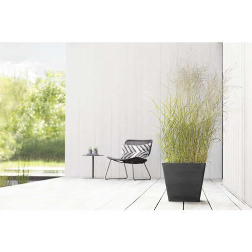 Ecopots Ecopots Rotterdam 50 dark-grey wheels | Gratis verzending