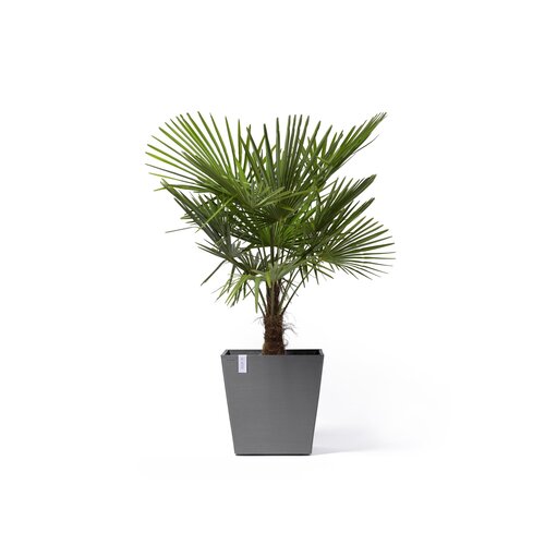 Ecopots Ecopots Rotterdam 50 grey wheels | Morgen bezorgd