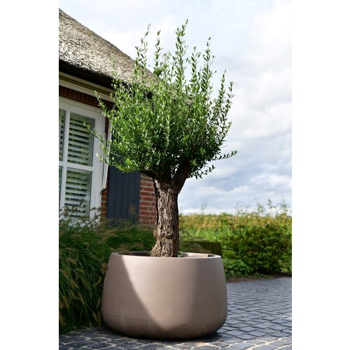 Plantenbak Koert 95| Taupe