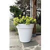 Plantenbak Daan 80 | Wit