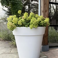 Plantenbak Daan 80 | Wit