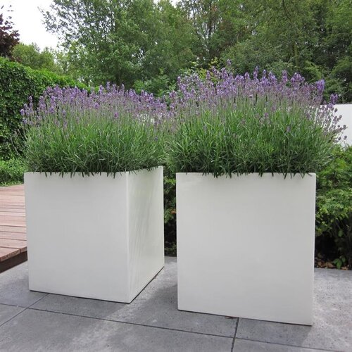 Adezz Polyester plantenbak Carrez 40x40x100 cm | Antraciet-zwart