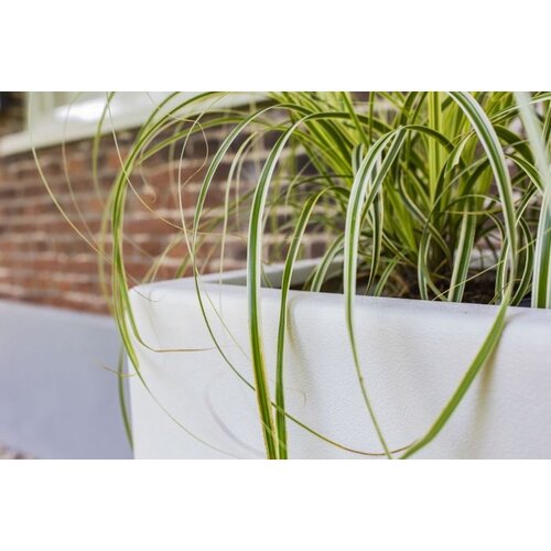 Adezz Polyester plantenbak Carrez 120x120x40 cm | Wit