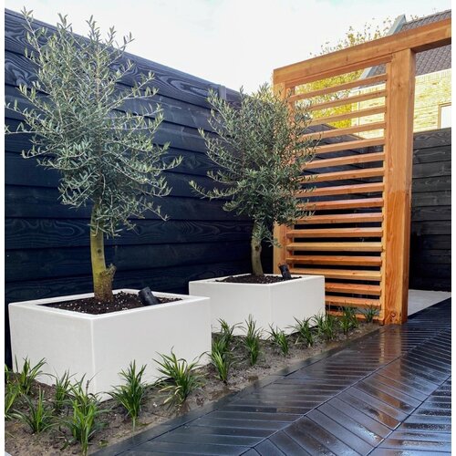 Adezz Polyester plantenbak Carrez 120x120x40 cm | Wit
