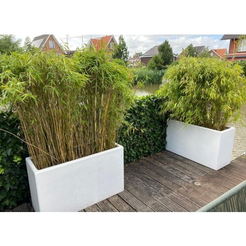 Adezz Polyester plantenbak Carrez 100x40x80 cm | Wit