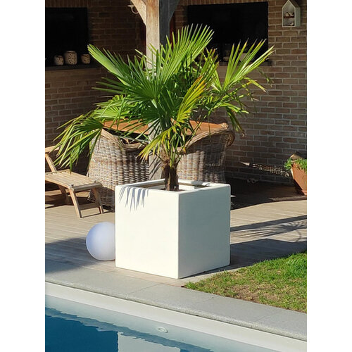 Adezz Polyester plantenbak Carrez 40x40x40 cm | Wit