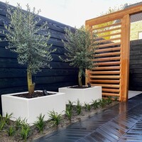 Adezz Polyester plantenbak Carrez 150x50x60 cm | Antraciet-zwart