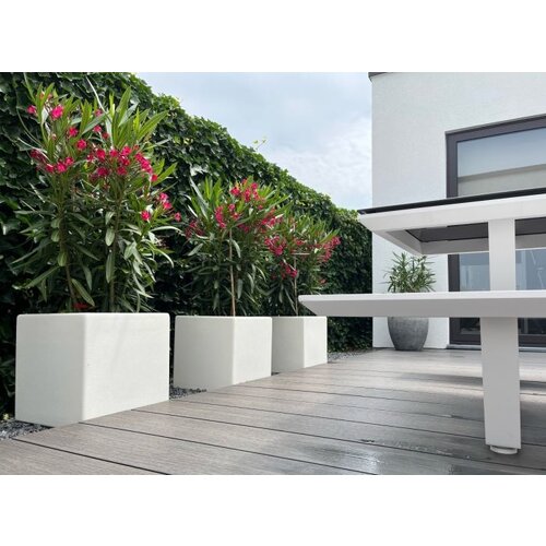 Adezz Polyester plantenbak Carrez 120x50x60 cm | Antraciet-zwart