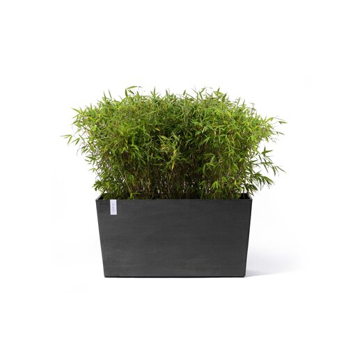 Ecopots Ecopots Paris 100 dark-grey wheels | Gratis verzending