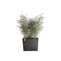 Ecopots Ecopots Paris  85 dark-grey met wielen