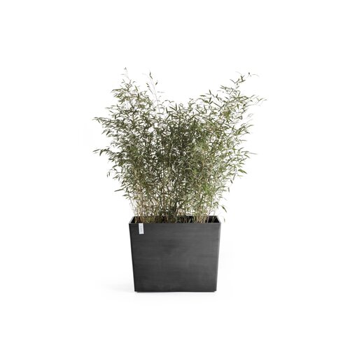 Ecopots Ecopots Paris 85 dark-grey met wielen