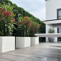 Adezz Polyester plantenbak  Carrez 150x50x60 cm hoogglans wit