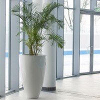 Adezz Polyester plantenbak Canna Ø80x100 cm | Hoogglans wit