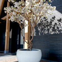 Luca lifestyle Elena Grigio  70 - Antique White