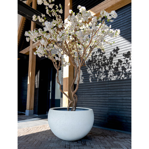 Luca lifestyle Elena Grigio  70 - Antique White