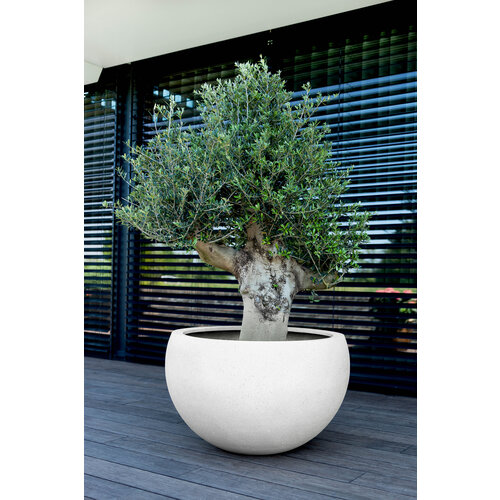 Luca lifestyle Elena Grigio  70 - Antique White