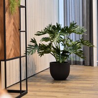 Luca lifestyle New egg pot Grigio 45 - Antraciet