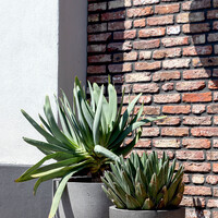 Luca lifestyle New egg pot Grigio 80 - Natural Concrete