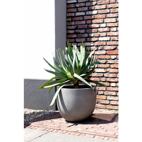 Luca lifestyle New egg pot Grigio 94 - Natural Concrete