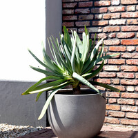 Luca lifestyle New egg pot Grigio 55 - Natural Concrete