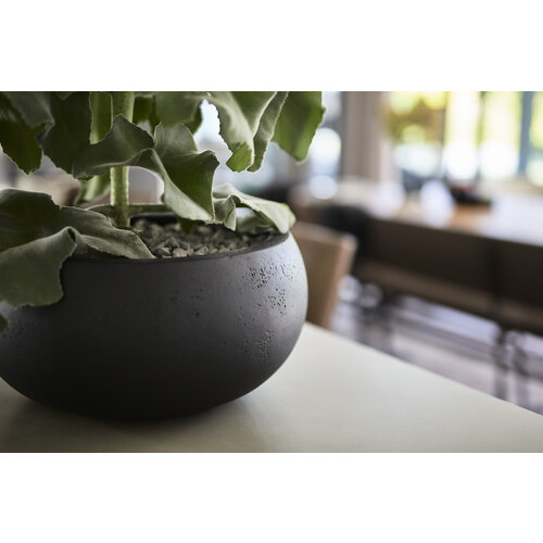 Luca lifestyle Low balloon 40 Grigio - Antraciet