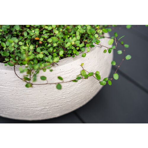 Luca lifestyle Low balloon 40 Terreno - Sand