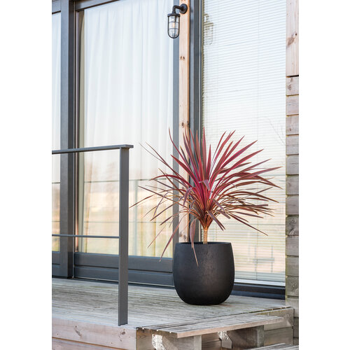 Luca lifestyle Balloon  30 Grigio  - Antraciet