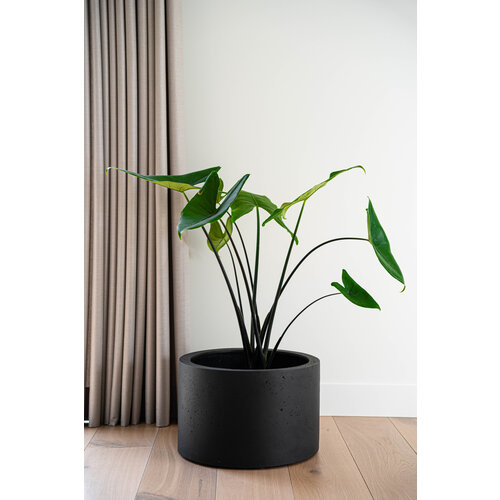 Luca lifestyle Cylinder Grigio 60 - Antraciet