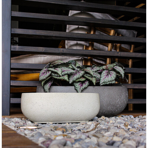 Luca lifestyle Longtail Grigio 65 - Antique White