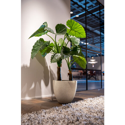 Luca lifestyle Egg pot 40 Grigio - Antique white