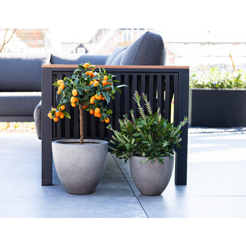 Luca lifestyle Egg pot 40 Grigio - Natural Concrete